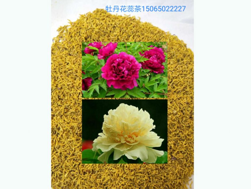 點擊查看詳細信息<br>標題：牡丹花蕊茶 閱讀次數(shù)：1169